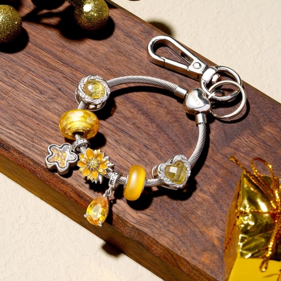 Gnoce Silver Stainless Steel Versatile Charm Holder Purse Key Chain Belt Loop - Picture 3 of 13